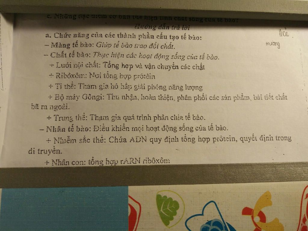 cau-tao-te-bao-gom-may-phan-dac-diem-cua-moi-phan-nhu-the-nao