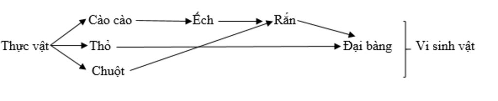 cau1-2-diem-cho-mot-quan-a-sinh-vat-gom-cac-quan-the-sau-cao-cao-ech-tho-ran-thuc-vat-chuot-dai