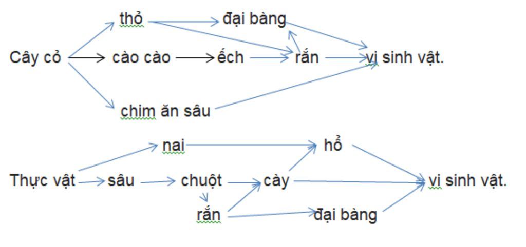 cay-co-cao-cao-tho-ech-chim-an-sau-dai-bang-ran-vi-sinh-vat-thuc-vat-sau-cay-nai-ho-chuot-ran-da