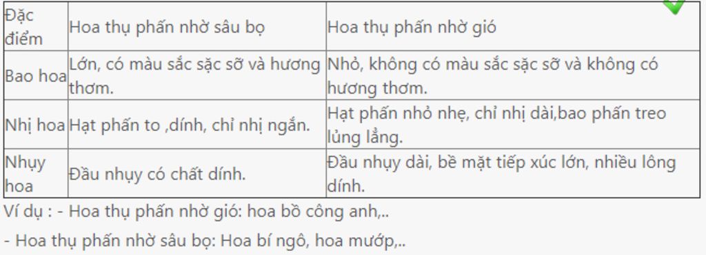 cay-co-hoa-thu-phan-nho-gio-va-sau-bo-dac-diem-cho-vi-du
