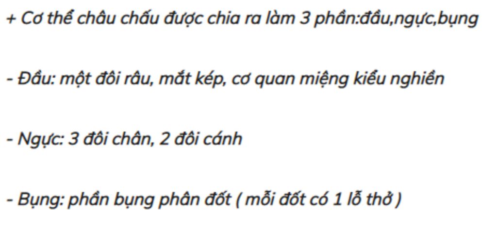 chau-chau-co-cau-tao-ngoai-va-di-chuyen-nhu-the-nao