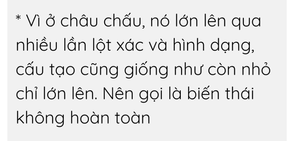 chau-chau-thuoc-hinh-thuc-phat-trien-nao-giai-thich-buom-cai-thuoc-hinh-thuc-phat-trien-nao-giai