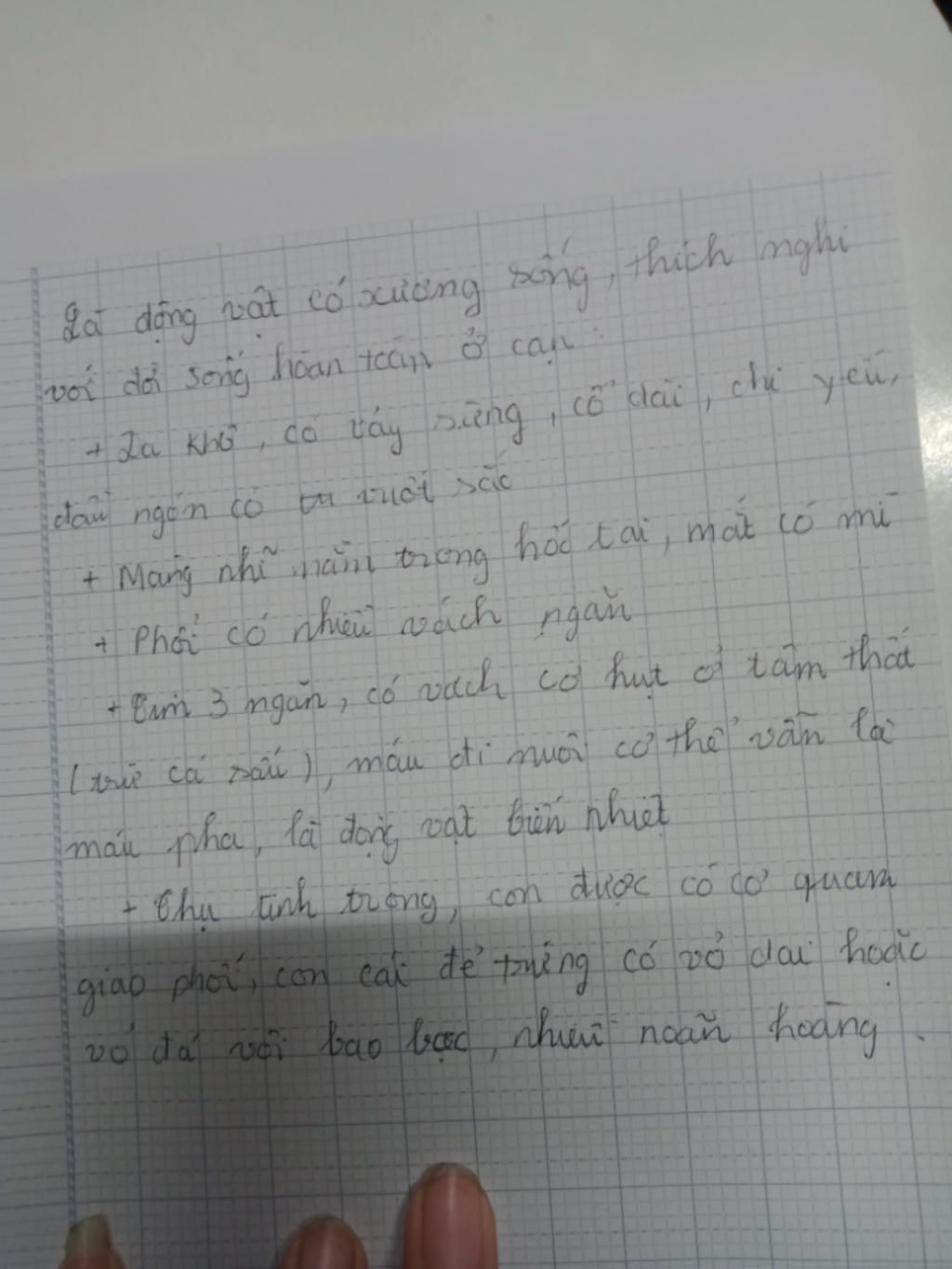 chi-ra-dc-dac-diem-chung-cua-lop-bo-sat-chim-thu-ko-lay-tren-mang