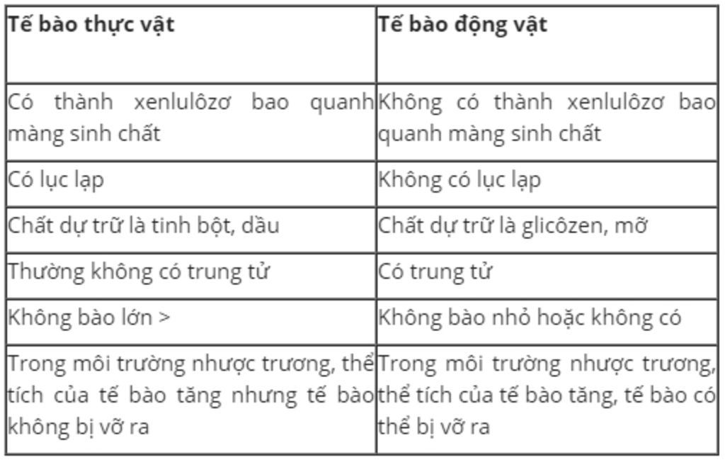 chi-ra-nhung-dac-diem-giong-nhau-va-khac-nhau-co-ban-cua-te-bao-thuc-vat-va-te-bao-dong-vat-rut