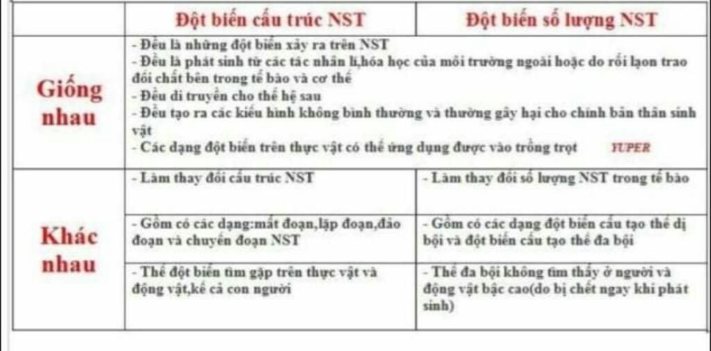 chi-ra-su-khac-nhau-giua-dot-bien-cau-truc-nhiem-sac-the-va-dot-bien-so-luong-nst