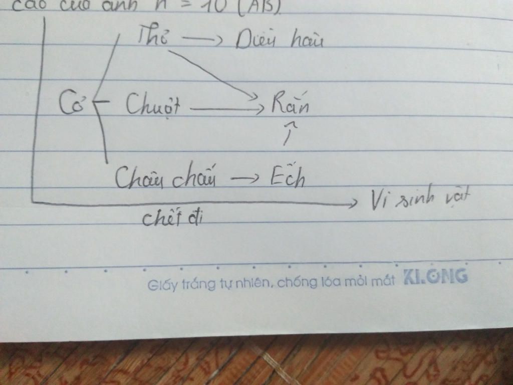 cho-1-hst-dong-co-co-cac-loai-sinh-vat-sau-day-tho-ran-chooutj-chau-chau-vi-sinh-vat-co-dieu-hau