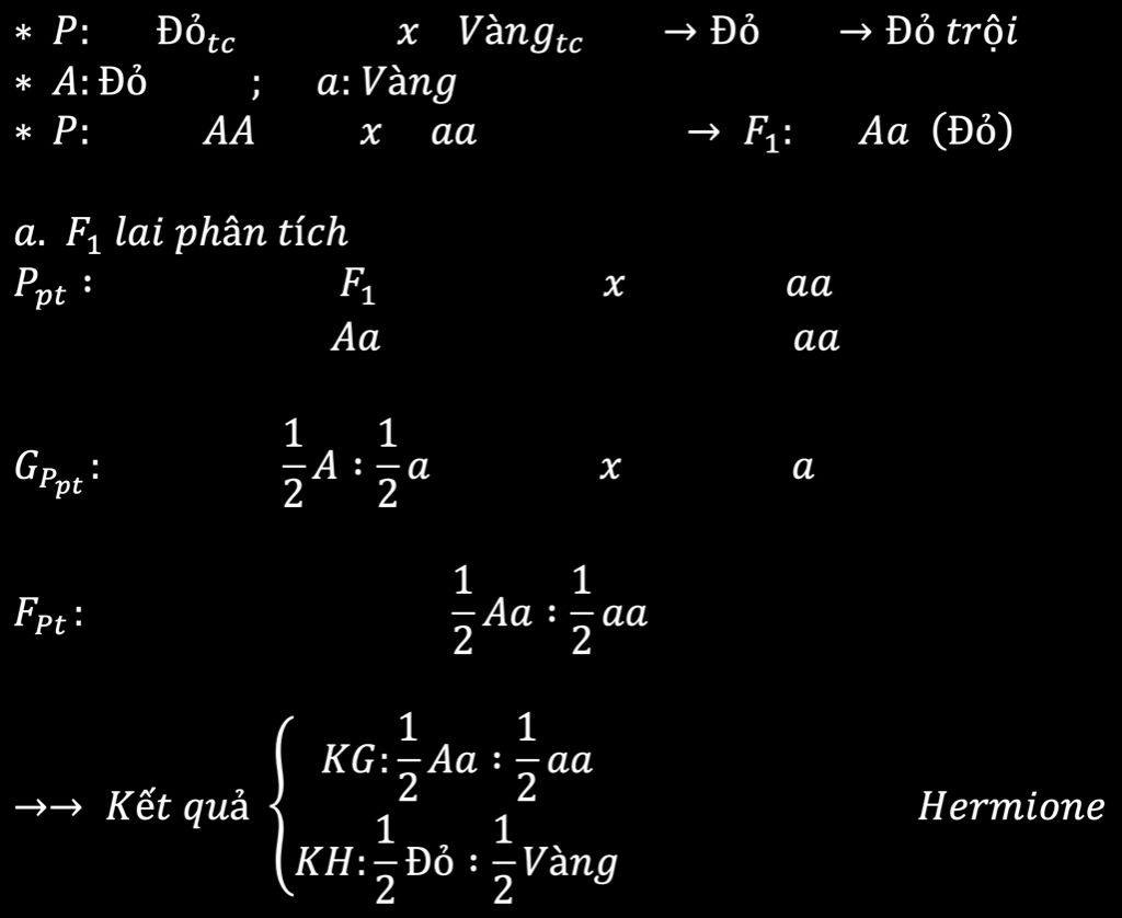 cho-2-giong-ca-chua-qua-do-va-qua-vang-thuan-chung-giao-phan-voi-nhau-thi-duoc-f1-100-qua-do-a-c