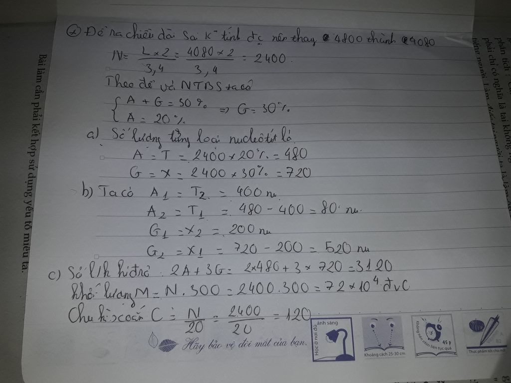 cho-adn-dai-4800a-so-n-loai-a-chiem-20-cho-a1-400-nucleotit-g1-200-nucleotit