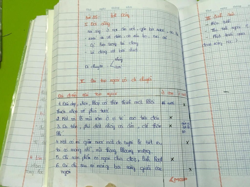 cho-biet-cac-dac-diem-cau-tao-ngoai-thich-ghi-voi-doi-song-cua-chim-bo-cau-va-ech