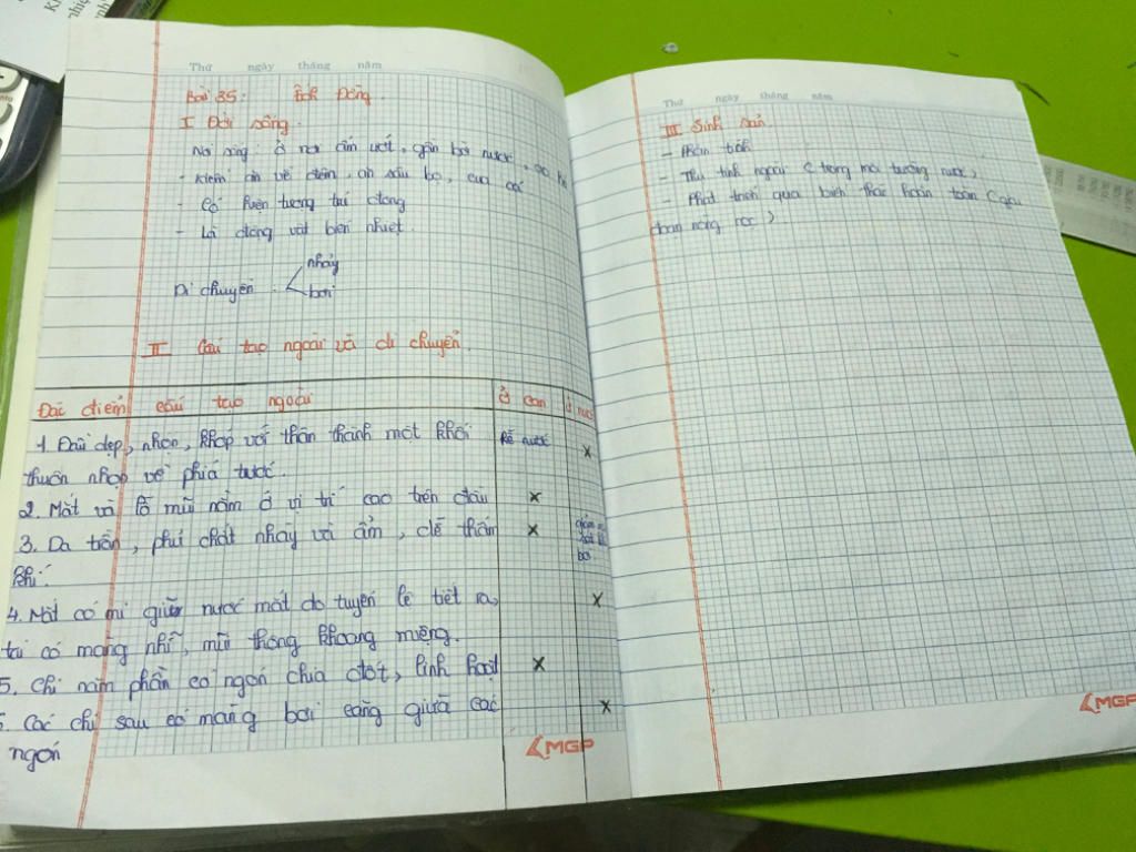 cho-biet-dac-diem-cau-tao-ngoai-thich-ghi-voi-doi-song-ech