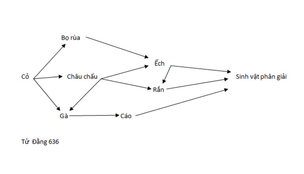 cho-biet-quan-he-dinh-duong-giua-cac-loai-sinh-vat-trong-mot-he-sinh-thai-nhu-sau-co-la-nguon-th