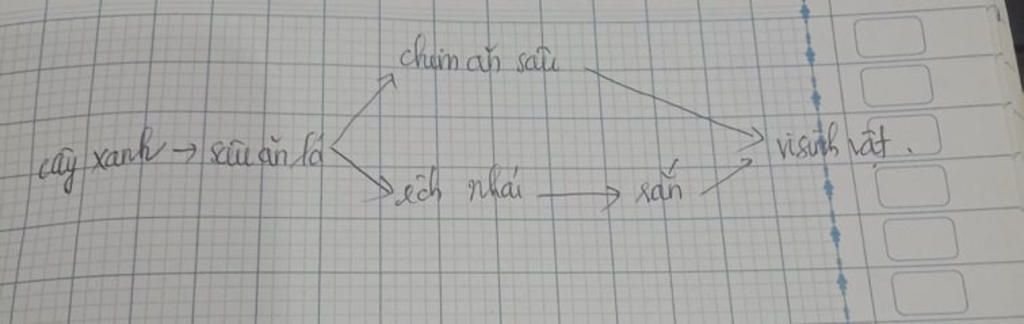 cho-cac-loai-sinh-vat-sau-chau-chau-sau-an-la-chim-sau-cay-anh-vi-sinh-vat-ech-nhai-ran-a-vi-du