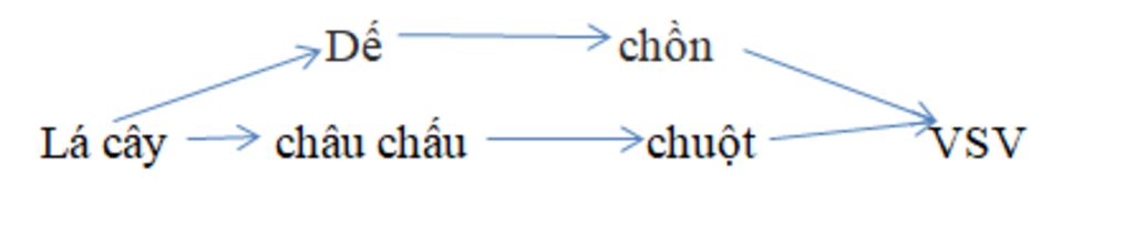 cho-cac-sinh-vat-chon-de-chau-chau-la-cay-chuot-vi-sinh-vat-a-cho-biet-thanh-phan-sinh-vat-cua-h