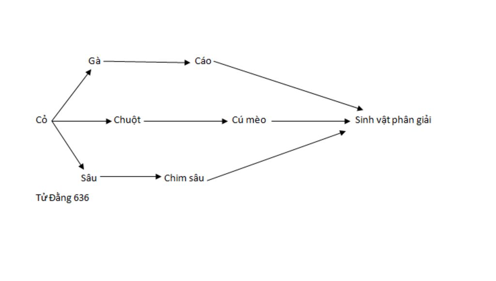 cho-cac-sinh-vat-co-ga-chuot-sau-ca-meo-cao-chim-sau-vi-sinh-vat-phan-giai-hay-lap-1-luoi-thuc-a