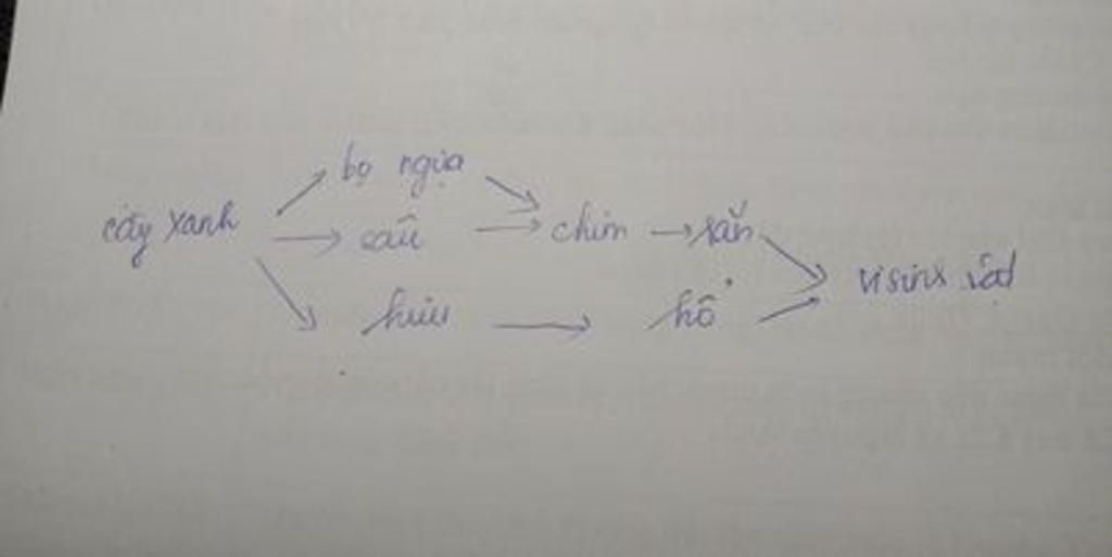 cho-cac-sinh-vat-sau-cay-anh-bo-ngua-sau-chim-huou-ho-ran-vi-sinh-vat-em-hay-lap-thanh-mot-luoi