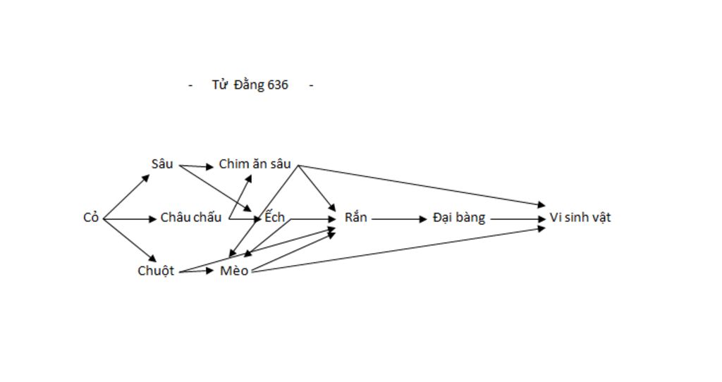 cho-cac-sinh-vat-sau-co-sau-ran-chuot-chau-chau-meo-dai-bang-ech-chim-an-sau-vi-sinh-vat-ay-dung