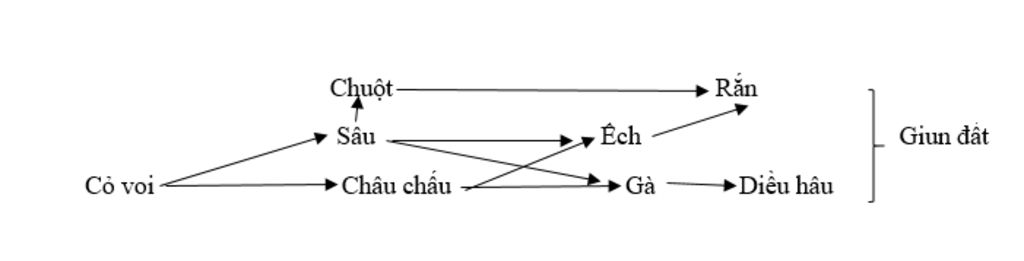 cho-cac-sinh-vat-sau-co-voi-sau-ech-chau-chau-ga-dieu-hau-chuot-ran-giun-dat-ay-dung-luoi-thuc-a