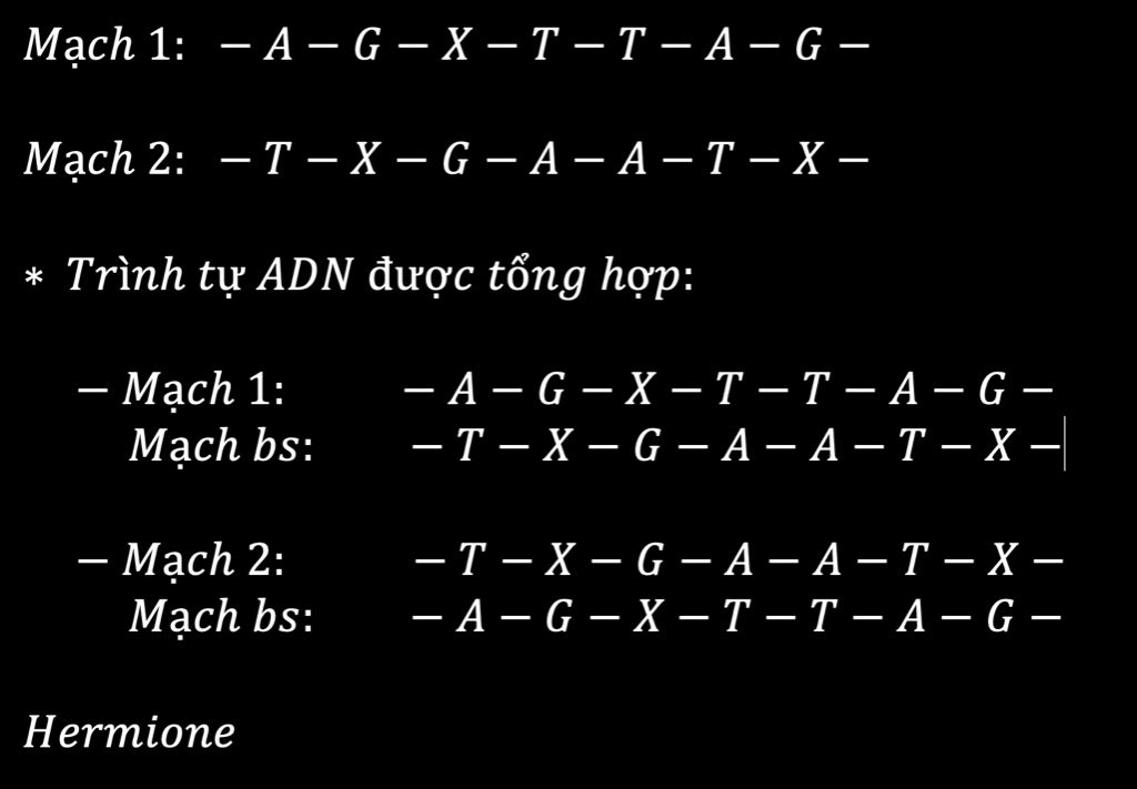cho-doan-mach-adn-co-doan-mach-nhu-sau-mach-1-a-g-t-t-a-g-mach-2-t-g-a-a-t-hay-ac-dinh-tinh-tu-a