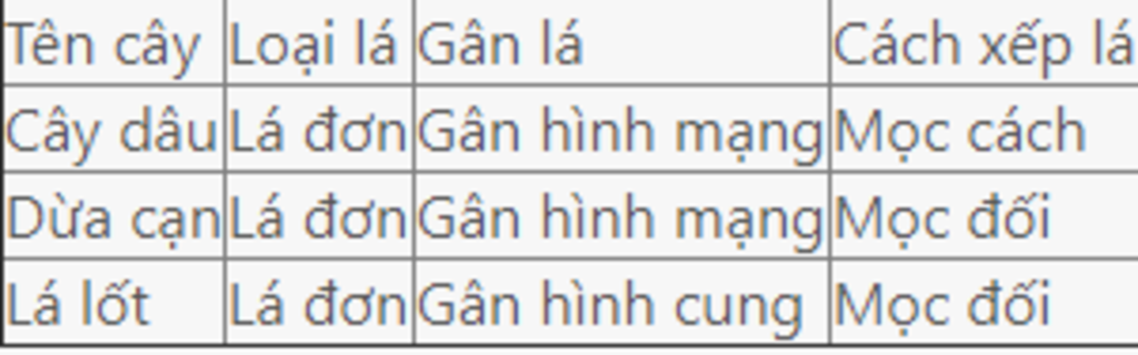 cho-em-hoi-mon-sinh-ten-la-kieu-la-gan-la-cach-moc-la