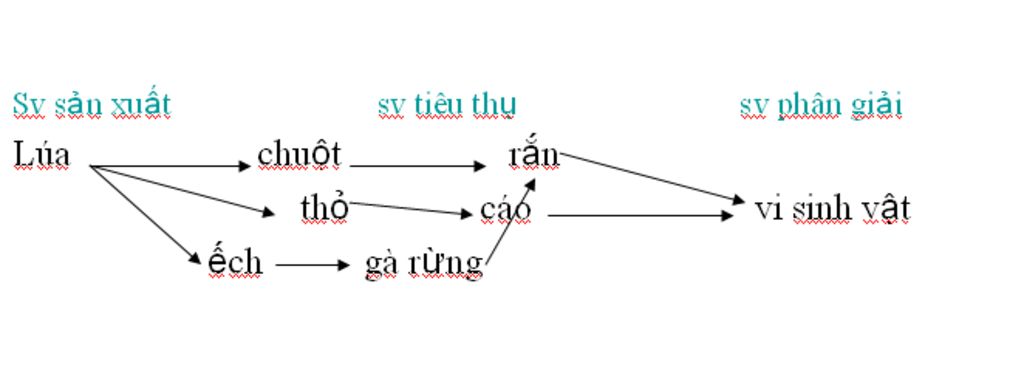 cho-ga-rung-cao-tho-lua-sau-ech-vi-sinh-vat-ran-chuot-hay-ve-luoi-thuc-an