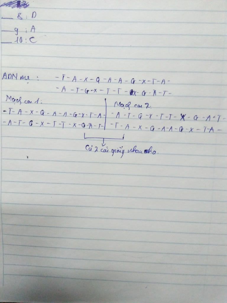 cho-mach-adn-me-nhu-sau-t-a-g-a-a-g-t-a-a-t-g-t-t-g-a-t-hay-viet-adn-con-duoc-tong-hop-tu-adn-me