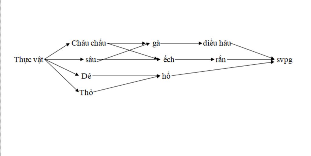 cho-mik-5-hinh-anh-ve-1-so-chuoi-thuc-an-ma-cac-cau-lap-cang-nhieu-cang-tot