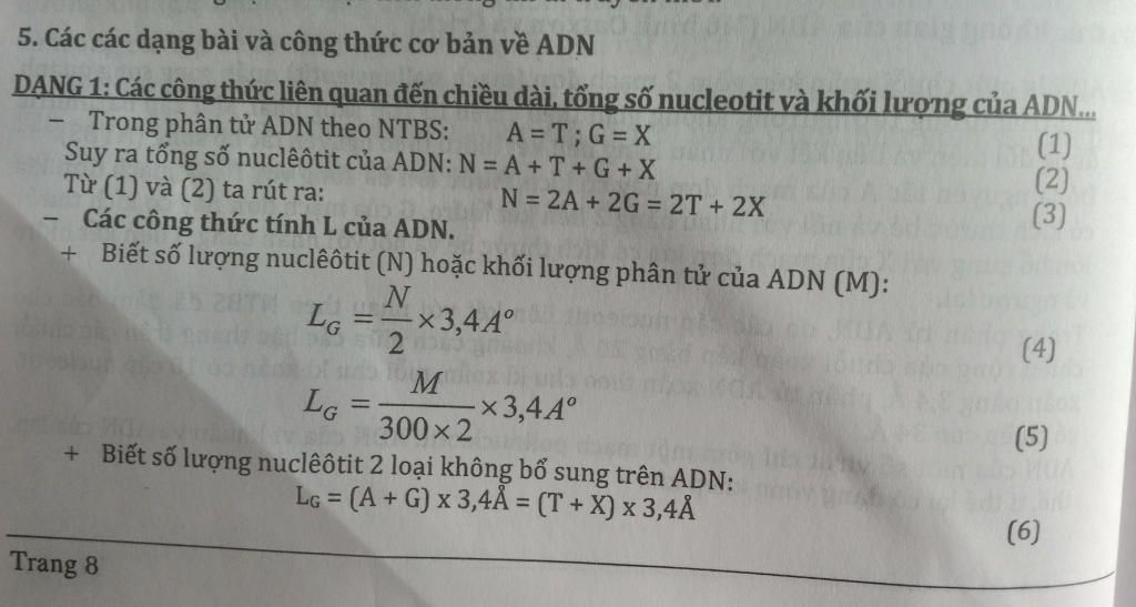 cho-minh-cong-thuc-sinh-voi-a-ngoai-le-ban-nao-di-on-sinh-cho-minh-in-kinh-nghiem-voi-a