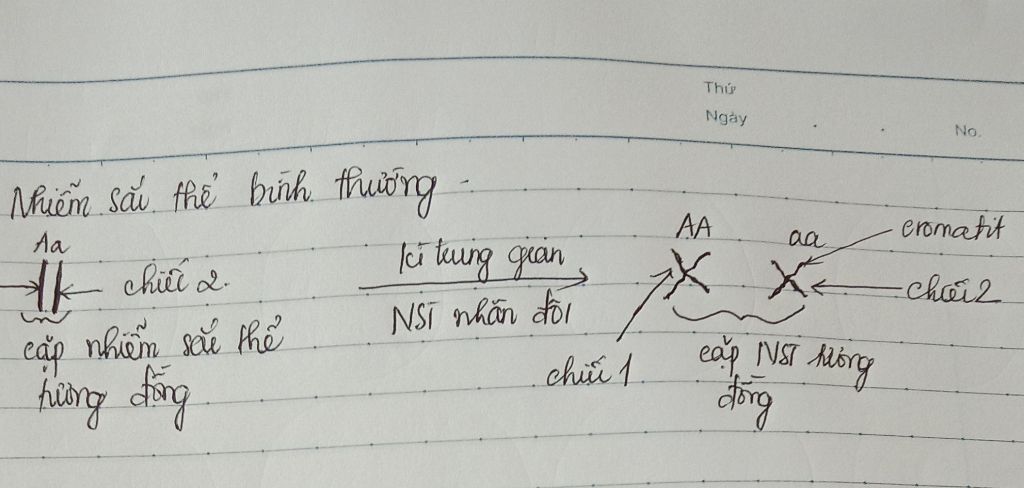 cho-minh-hoi-cai-nay-minh-rat-khong-hieu-lun-a-bo-nst-luong-boi-la-2-nst-co-cung-kich-thuoc-dac