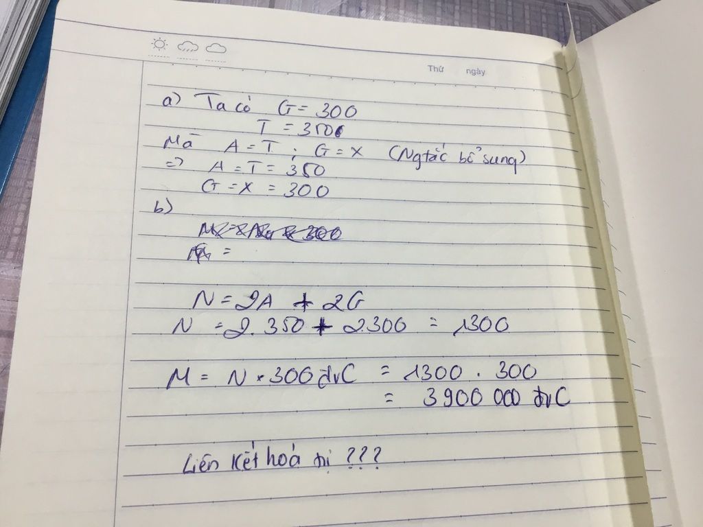 cho-mot-phan-tu-adn-dai-4080-co-2800-lien-ket-hidro-tren-mach-mot-co-g-300-tren-mach-hai-co-t-35