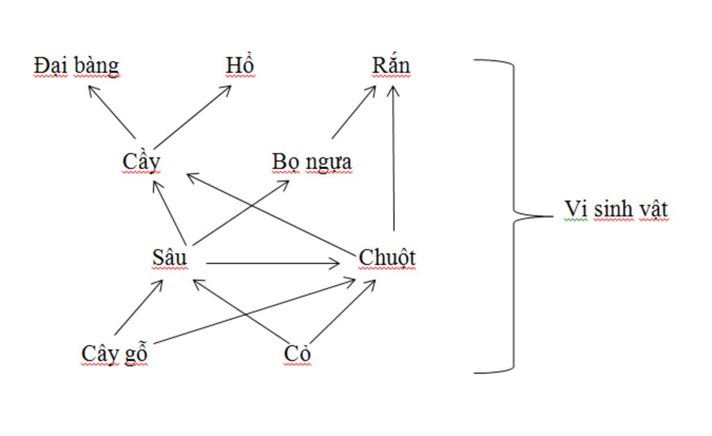 cho-nhung-sinh-vat-sau-co-sau-cay-ho-cay-go-ran-chuot-dai-bang-bo-ngua-vi-sinh-vat-em-hay-ay-dun