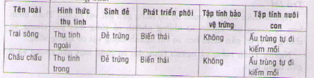 cho-vi-du-su-chuyen-hoa-cac-hinh-thuc-sinh-san-huu-tinh-o-dong-vat