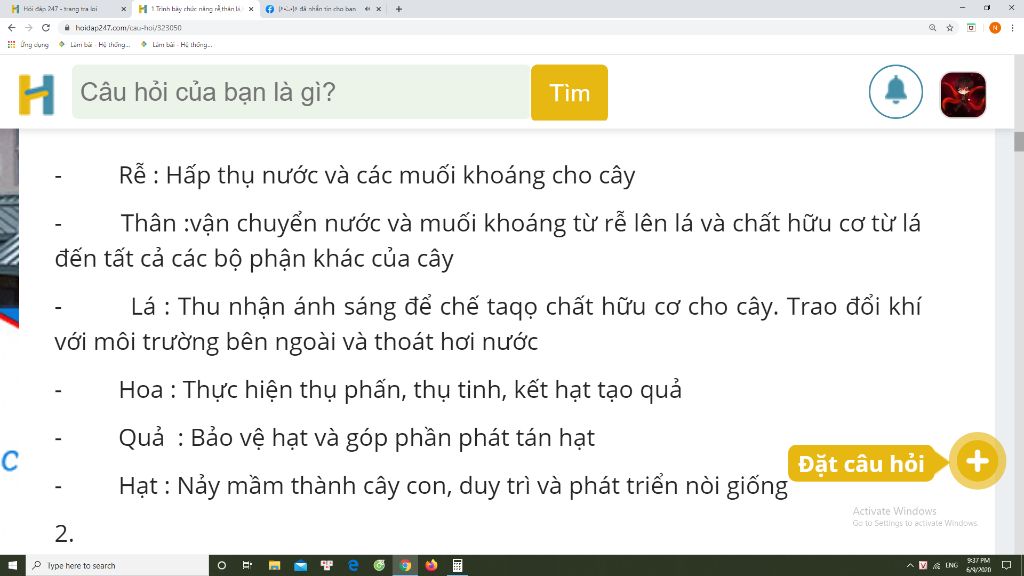 chuc-nang-cua-cac-bo-phan-la-hoa-qua-hat-la-gi