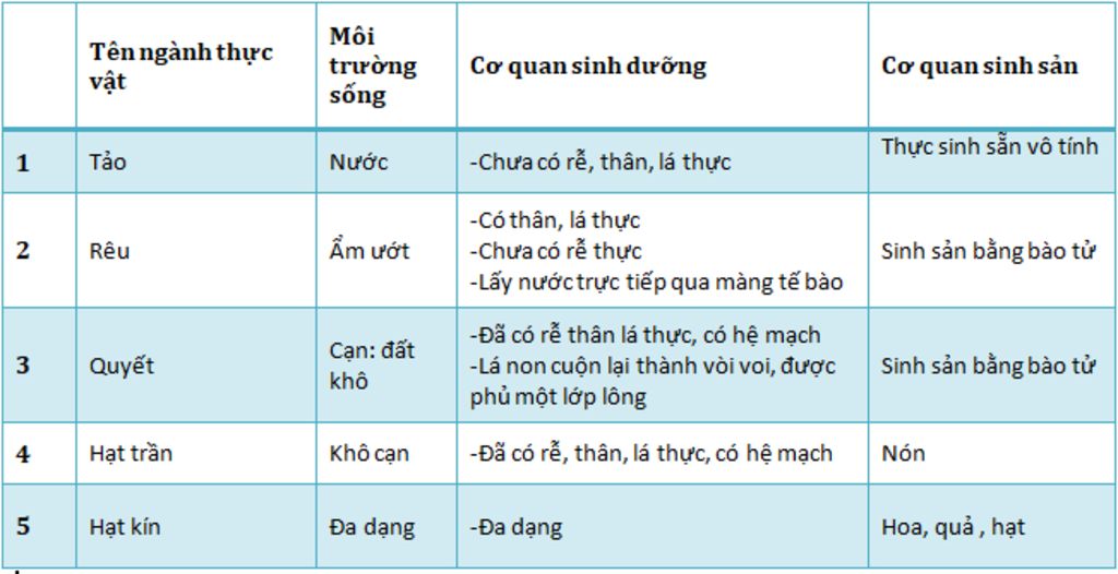 chung-minh-su-tien-hoa-cua-co-quan-sinh-duong-va-sinh-san-cua-cac-nhom-thuc-vat