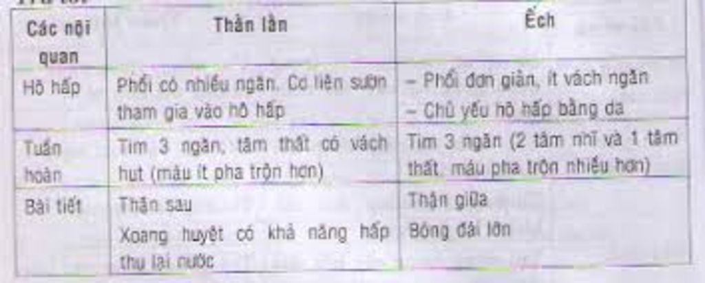 chung-minh-su-tien-hoa-ve-bo-suong-he-ho-hap-he-tuan-hoan-va-he-bai-tiet-cua-than-lan-tien-hoa-h