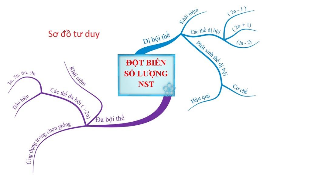 co-ai-co-the-ve-cho-em-so-do-tu-duy-bai-24-sinh-9-ko-a