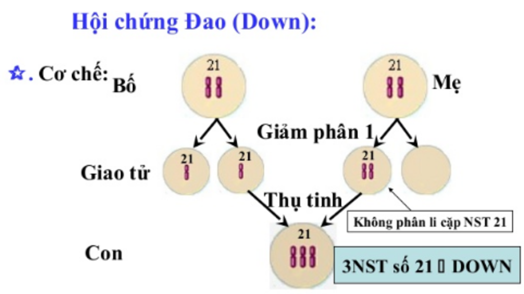 co-che-hinh-thanh-benh-dao-luu-y-co-che-hinh-thanh-benh-dao-phai-neu-mot-so-y-nhu-sau-nguyen-nha