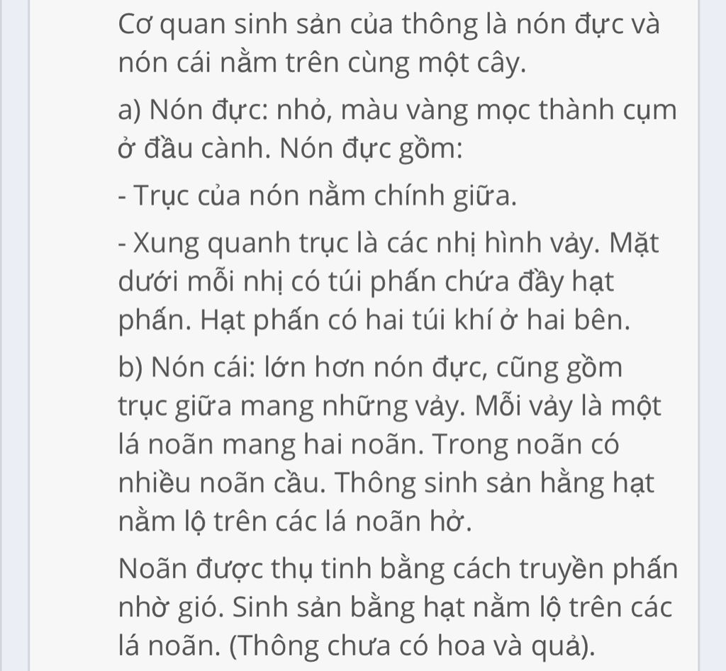 co-quan-sinh-san-cua-cay-thong-co-gi-khac-voi-co-quan-sinh-san-cua-thuc-vat-hat-kin