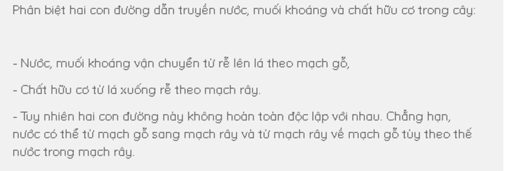 con-duong-hap-thu-nuoc-va-muoi-khoang-hoa-tan-tu-dat-vao-cay