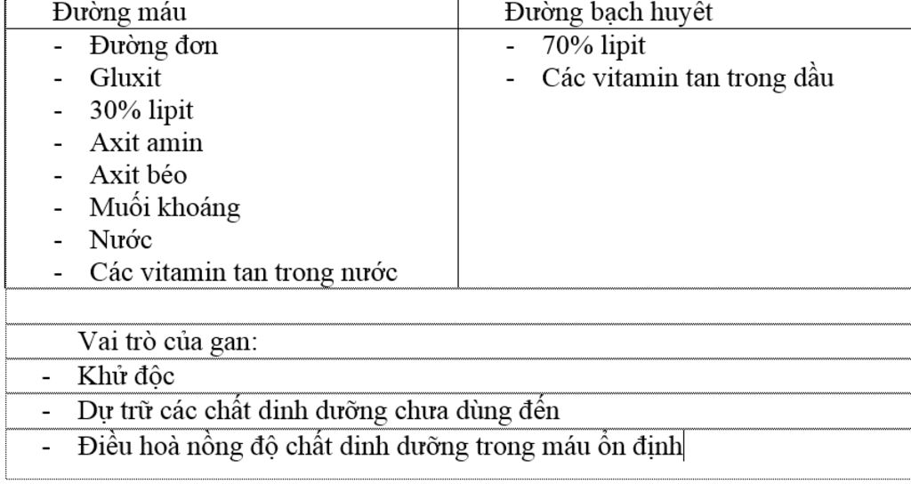 con-duong-van-chuyen-hap-thu-cac-chat-dinh-duong-trinh-bay-vai-tro-cua-gan