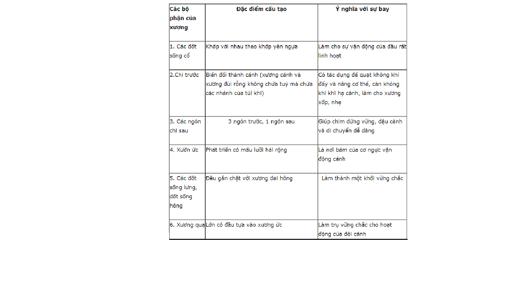 cot-song-dac-diem-cau-tao-y-nghia-voi-su-bay