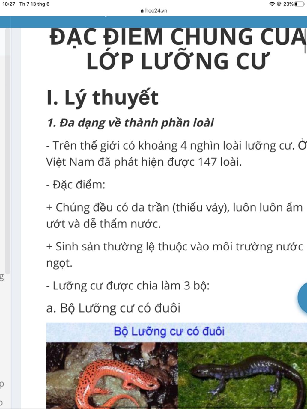 da-dang-vai-tro-va-dac-diem-chup-cua-lop-luong-cu