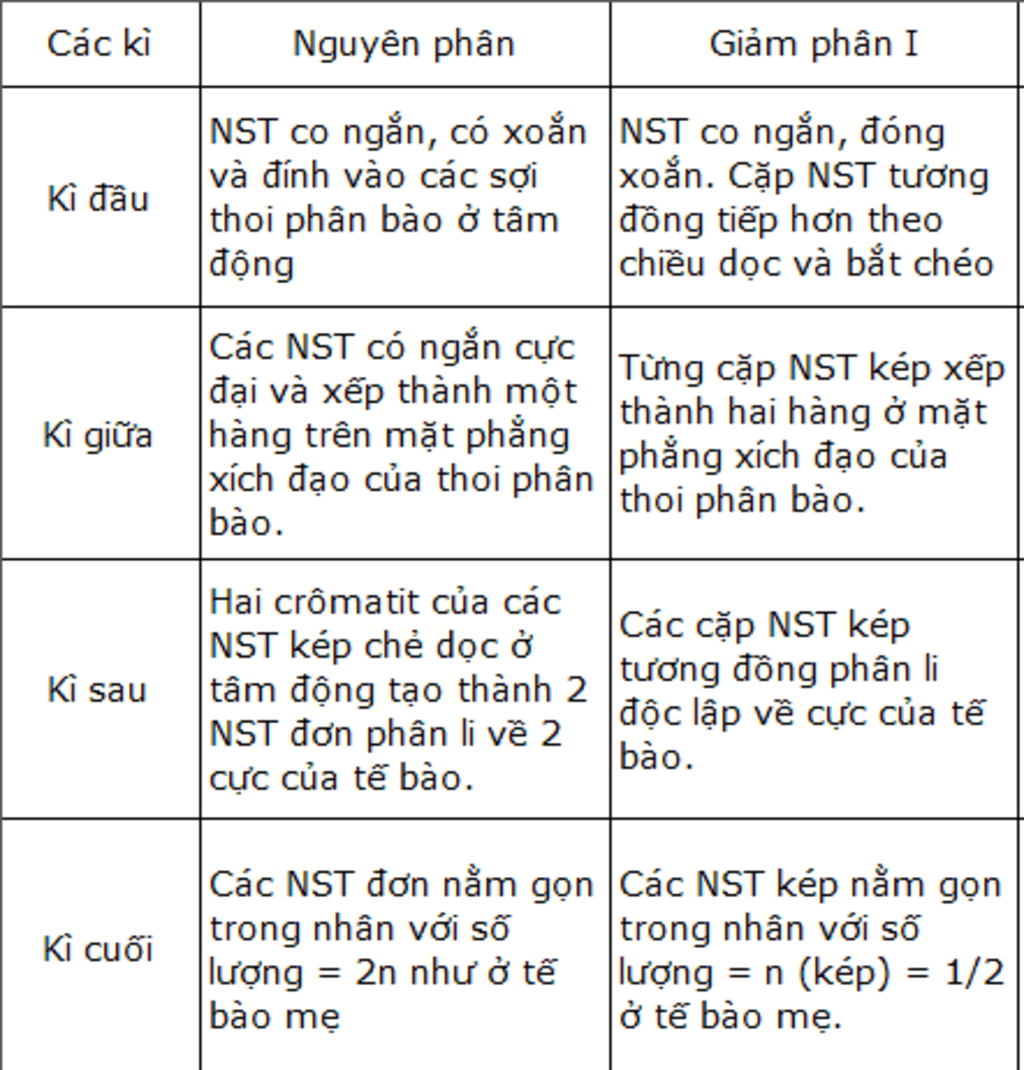 dac-diem-4-ki-cua-qua-trinh-nguyen-phan-va-giam-phan-1