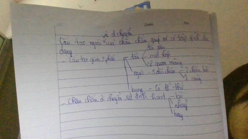 dac-diem-cau-tao-nao-cua-chau-chau-giup-no-co-tap-tinh-da-dang