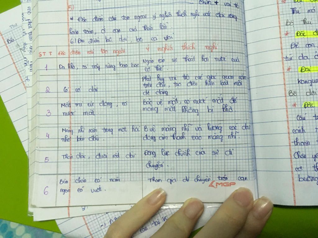 dac-diem-cau-tao-ngaoi-y-nghia-thich-nghi-than-lan-bong-duoi-dai