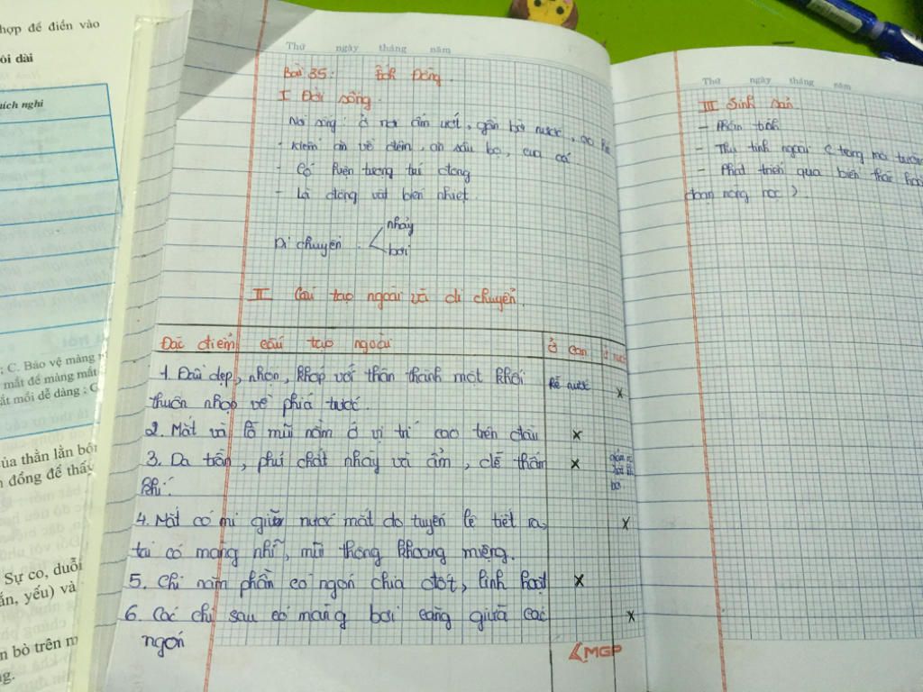 dac-diem-cau-tao-ngaoi-y-nghia-thich-ngi-than-lan-bong-tho-ech-dong