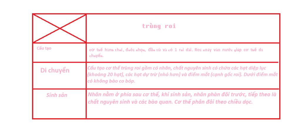 dac-diem-cau-tao-sinh-san-di-chuyen-cua-trung-roi