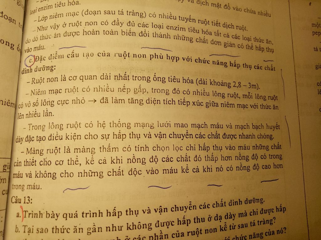 dac-diem-cau-tao-trong-cua-ruot-non-co-y-nghia-gi-voi-chuc-nang-hap-thu-chat-dinh-duong-cua-no