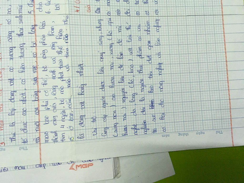 dac-diem-chug-vai-tro-lop-thu-dai-dien-phan-loai-d-vath-theo-lop-nhieu-cang-tot