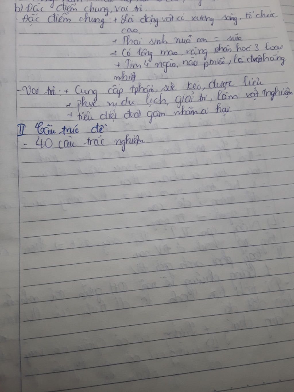 dac-diem-chung-cua-lop-thu-van-dung-giai-thich-ve-hinh-thuc-di-chuyen-cua-tho