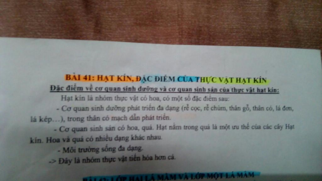 dac-diem-chung-cua-nganh-thuc-vat-hat-kin